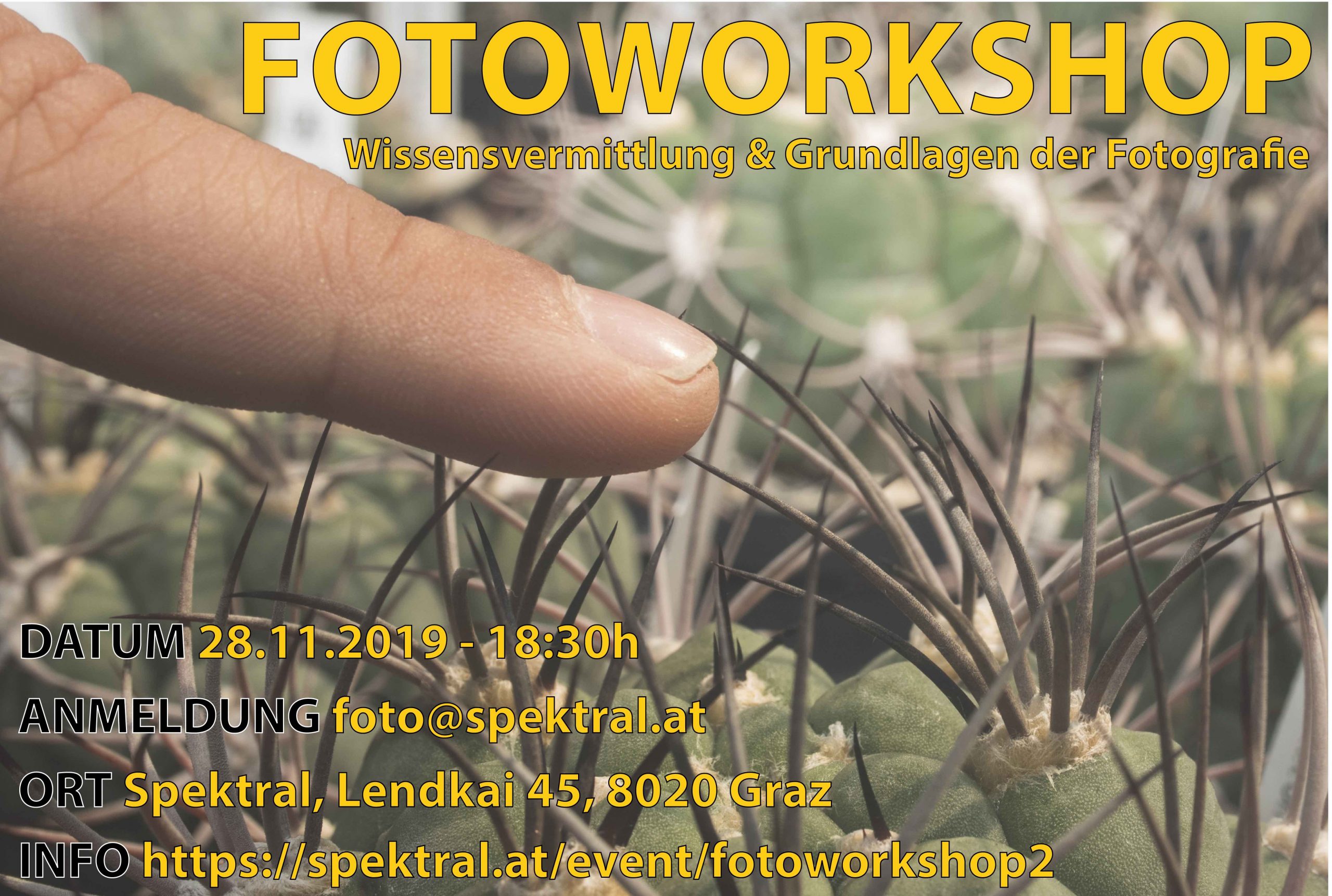Fotografie Workshop: Wissensvermittlung & Grundlagen